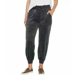 AnyBody Gray Velour Pull On Jogger Lounge Pants Size 3X